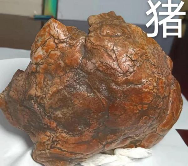 大自然的鬼斧神工，天造奇術，我們無法想象如此模樣，十二屬相