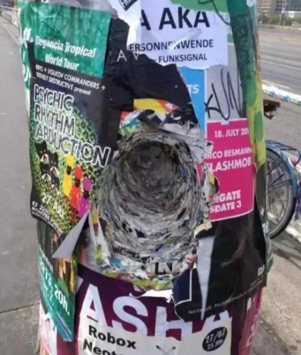 33張時間力量的照片，大自然吞噬廢棄的汽車，遊客在荒漠踩出階梯