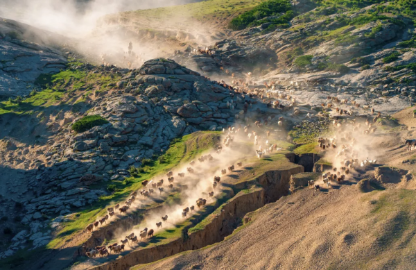 2021年，新疆非去不可，新疆怎麼玩，看完這一篇就夠了