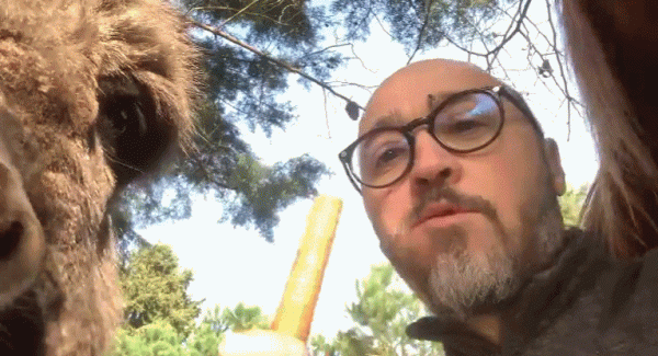 土耳其大叔自從收養了流浪動物後,愛心氾濫一發不可收拾了 土耳其大叔自從收養了流浪動物後,愛心氾濫一發不可收拾了