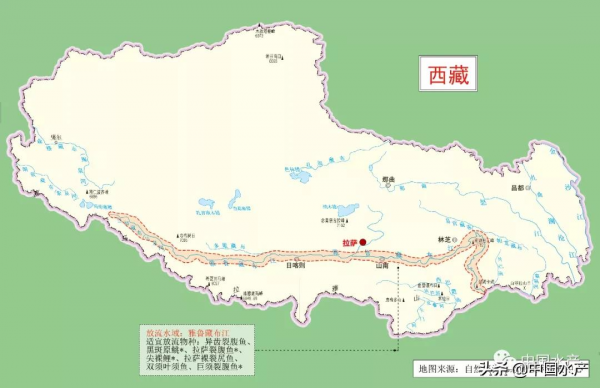 科學放流指南 &vert;（五）增殖放流水域在哪裡？放流物種怎麼選？