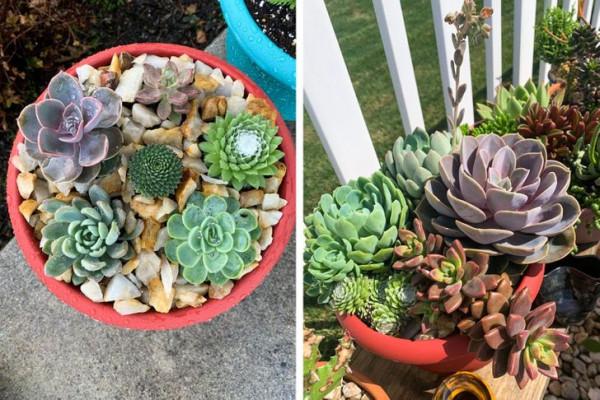 45張有趣的對比圖片展示事物的兩面性