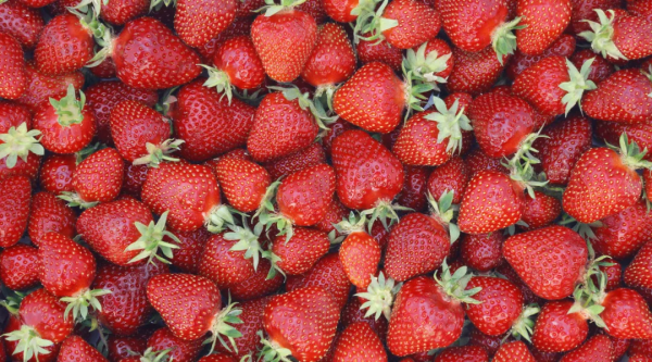 17 個關於水果的真相你都知道嗎