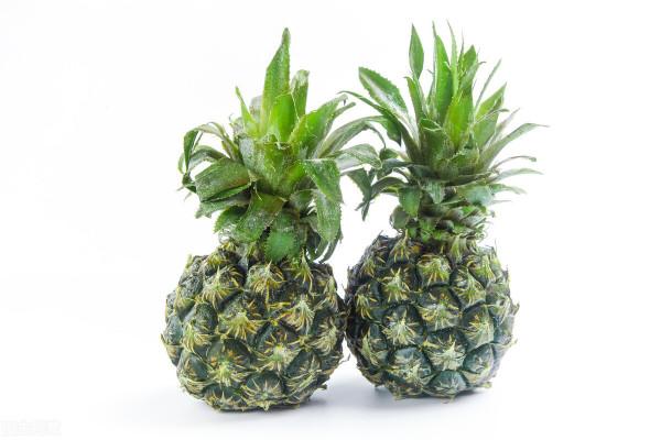 為什麼我們一直都不建議營養師學中醫理論呢？