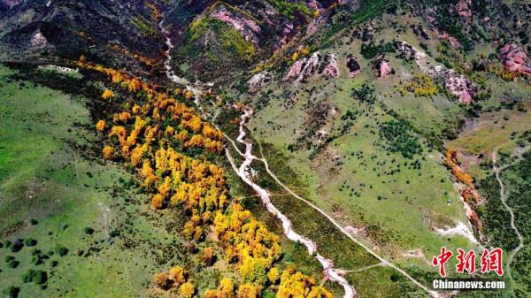 “高原綠色明珠”成金色世界 “高原綠色明珠”成金色世界