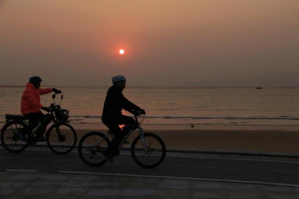銀杏道的盡頭是大海 銀杏道的盡頭是大海
