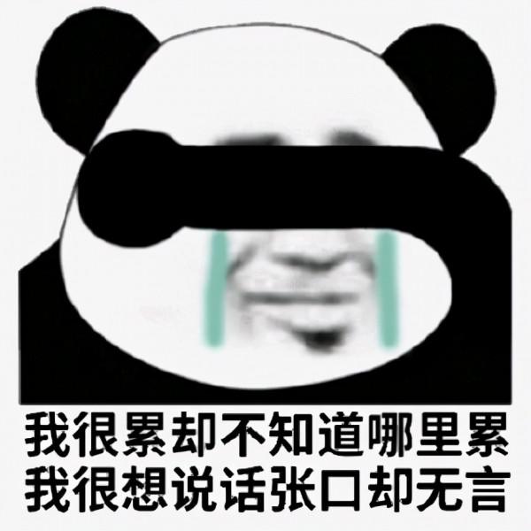 生活廢物、兩幅面孔,明星助理的遭遇,最能看清娛樂圈 生活廢物、兩幅面孔,明星助理的遭遇,最能看清娛樂圈