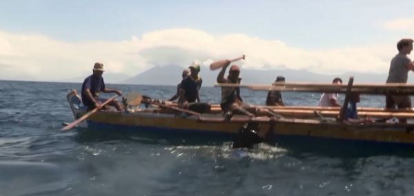 西太平洋的拉馬發獵人：專門捕殺20噸的鯊魚，一條夠全村吃5個月