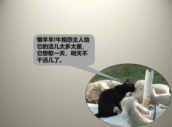 論溝通的重要性，以&OpenCurlyDoubleQuote;牛是怎麼死的&rdquo;來舉例，看懂就成功了一半