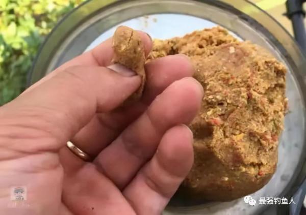 5個釣魚常識，卻能幫新手少走許多彎路