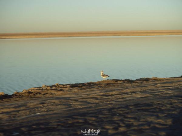 火星之旅 攜“7”遨遊 火星之旅 攜“7”遨遊