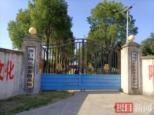 看了個寂寞,這家動物園動物竟是畫在牆上的? 看了個寂寞,這家動物園動物竟是畫在牆上的?