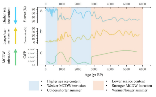 中國科大在企鵝古生態研究領域取得重要進展 論文第一作者為碩士生