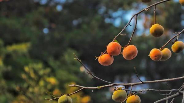 哪些心態是你刻意練習的？