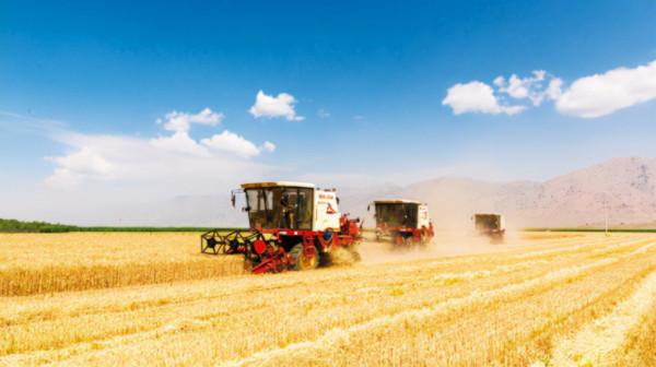 鄉村振興背景下縣域農業機械化管理與服務的問題與對策 —— 以湖北省縣域農業機械化的管理服務為例