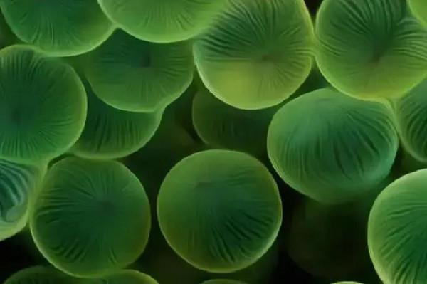 鄉村教師職稱傾斜不是達到規定年限就直聘高階,不要被誤導而誤事 鄉村教師職稱傾斜不是達到規定年限就直聘高階,不要被誤導而誤事