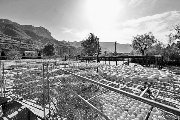 秋遊山西 有好景可賞有優惠可享