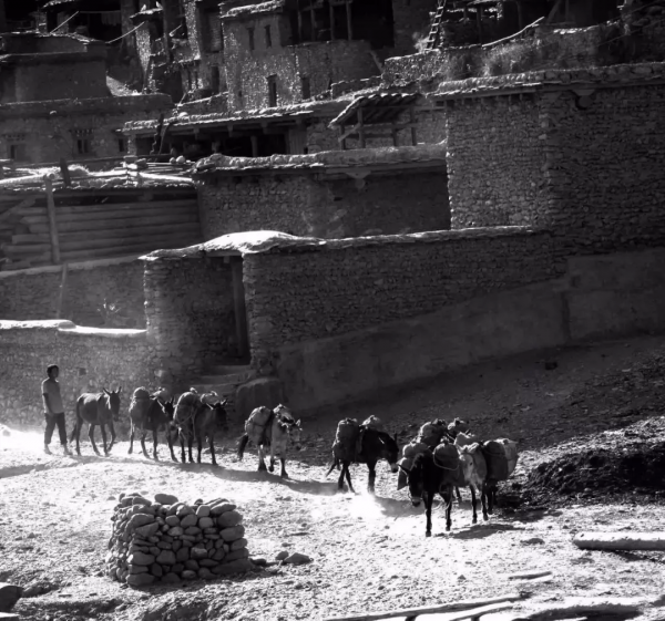 中國西南最偉大的古道，早該火了