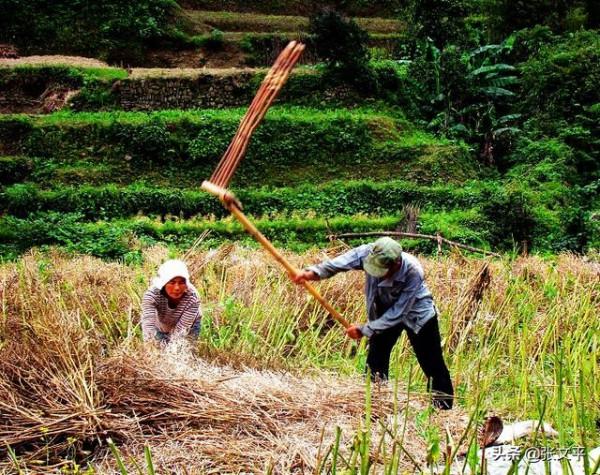 殳：甲骨文就有這個字，山西人至今還常掛在嘴邊，可沒幾個人認識