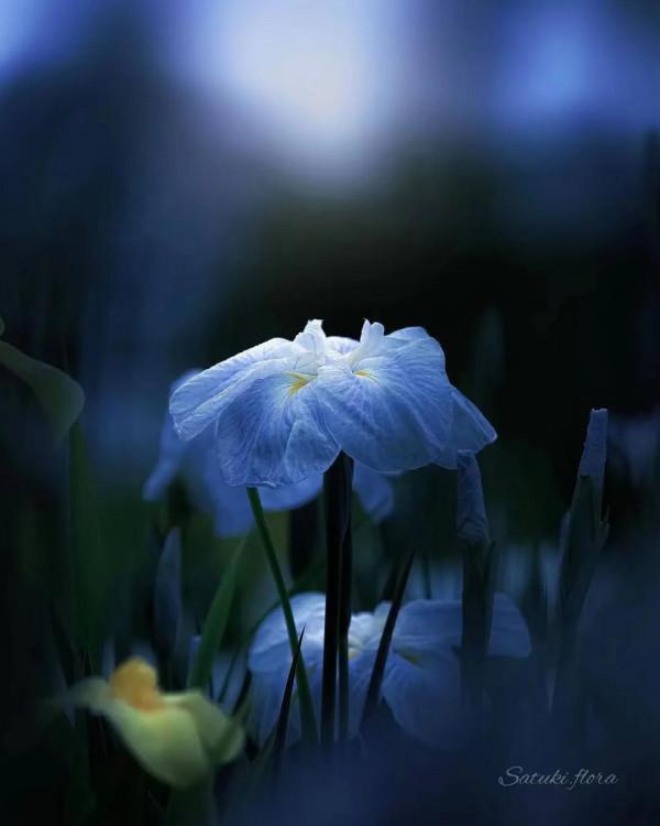 幸運四法則，越早知道人生越順遂