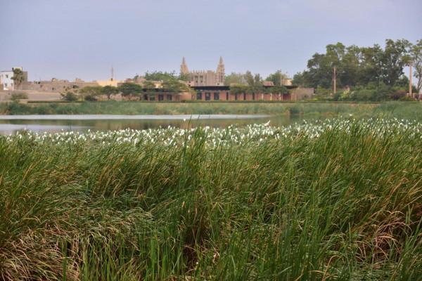 非洲採風42：馬裡（3）、去世界文化自然雙遺產邦賈加拉懸崖山寨