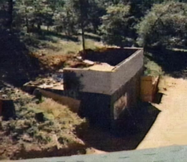 華裔富二代在美殘殺25人，法庭上疾呼：我心向善，不可判死刑