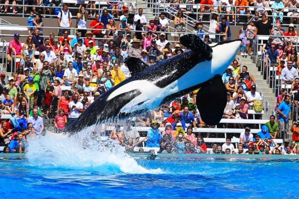 10年深度+豪華遊玩60國