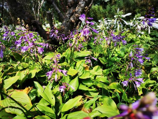 北京最大的一塊地熱田原來在這裡! 北京最大的一塊地熱田原來在這裡!