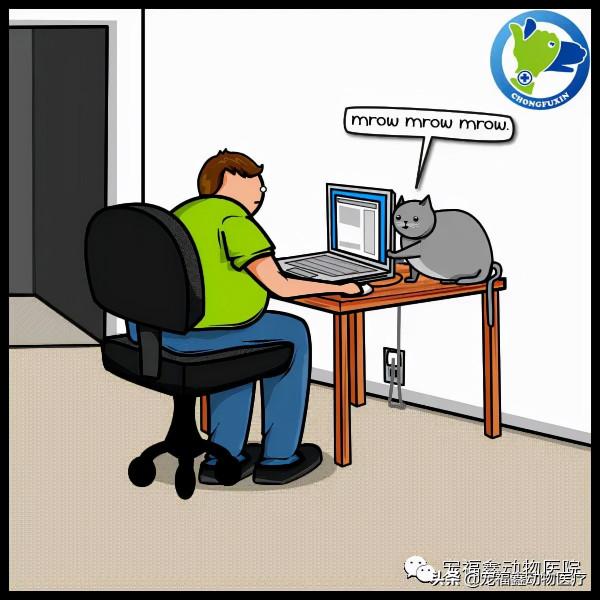 一場喵星人和網路的惡戰