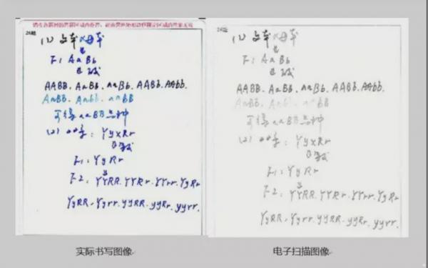 你寫出的字VS電腦閱卷呈現的字,電腦表示:這是二維碼成精了? 你寫出的字VS電腦閱卷呈現的字,電腦表示:這是二維碼成精了?