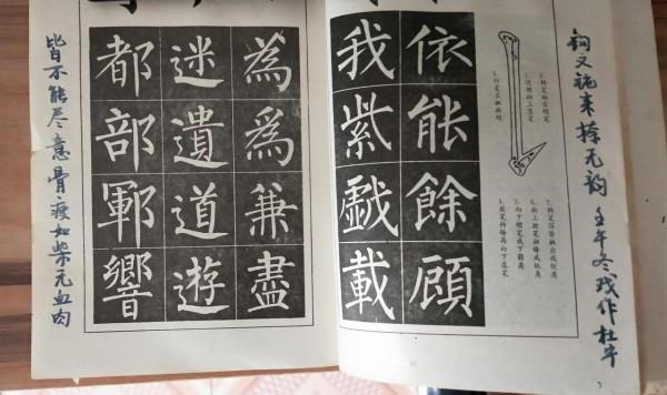 為什麼突然那麼不喜歡柳體? 為什麼突然那麼不喜歡柳體?