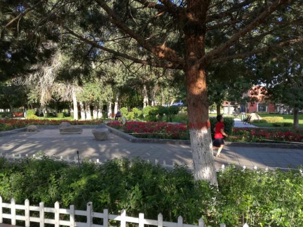 大美新疆八月全程遊記7：禾木印象-上（禾木橋、小木屋，下冰雹）