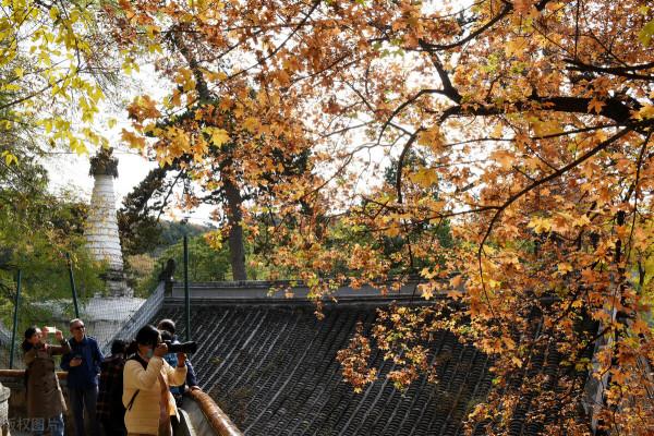 北京春節祈福好去處,趕快收藏 北京春節祈福好去處,趕快收藏