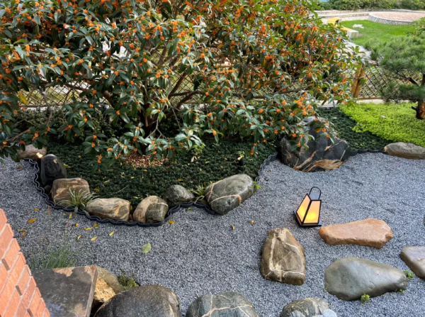 一樓帶60㎡院子的3居室，翻新改造後，效果不輸別墅