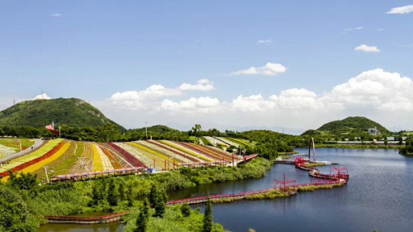 中秋還在糾結?廣東這些地方都是親子游的天堂 中秋還在糾結?廣東這些地方都是親子游的天堂