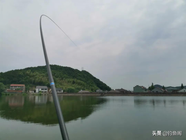 如果買魚竿僅僅是為了“釣不斷”，就記住買這樣的竿子