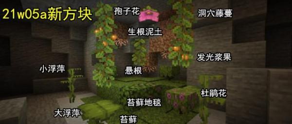 我的世界:1.19荒野會更新啥?藝術畫暗藏玄機,高大樺木群系升級 我的世界:1.19荒野會更新啥?藝術畫暗藏玄機,高大樺木群系升級