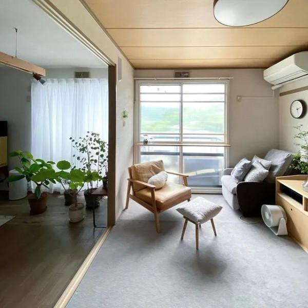 小夫妻堅持不生孩子不買房,蝸居50㎡小家21年:別太低估婚姻 小夫妻堅持不生孩子不買房,蝸居50㎡小家21年:別太低估婚姻