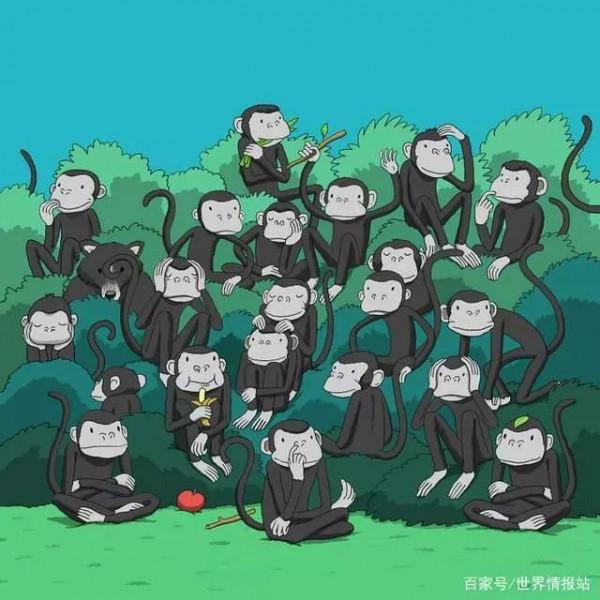 測試：在這 7 張圖片中找出隱藏的物體