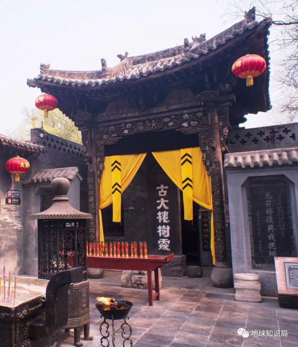 山西大槐樹傳說，究竟是什麼？