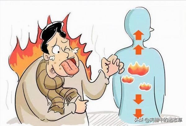 上熱下寒?送你一味肉桂,將你的火氣化為元氣,不妨來了解下吧 上熱下寒?送你一味肉桂,將你的火氣化為元氣,不妨來了解下吧