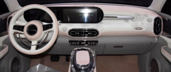 國產加長X5、4.0T V8紅旗、敞篷MINIEV，明年第一波新車值得期待