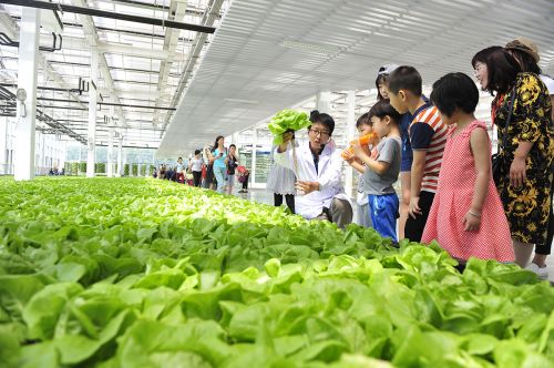 這裡確實不錯，農業主題樂園，門票小貴，其他都很棒
