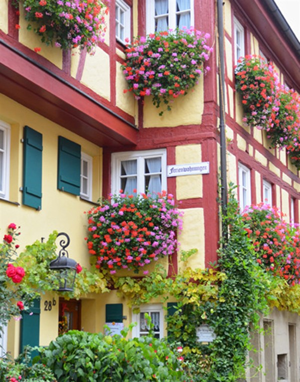 花園式窗臺，美得不像話，趕緊收藏起來