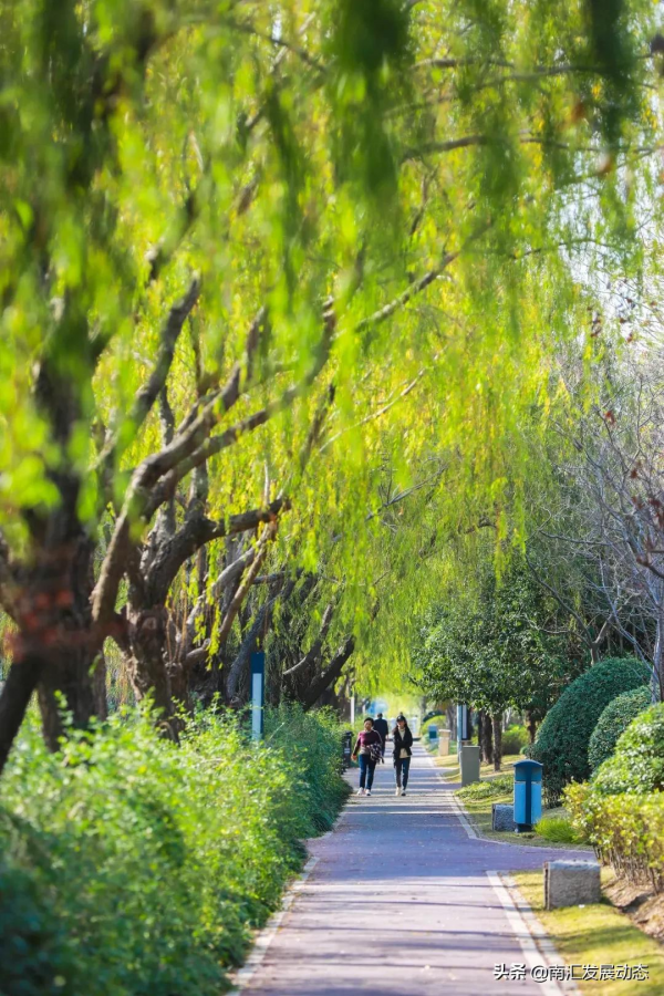 惠南：多個高顏值的口袋公園前來報到