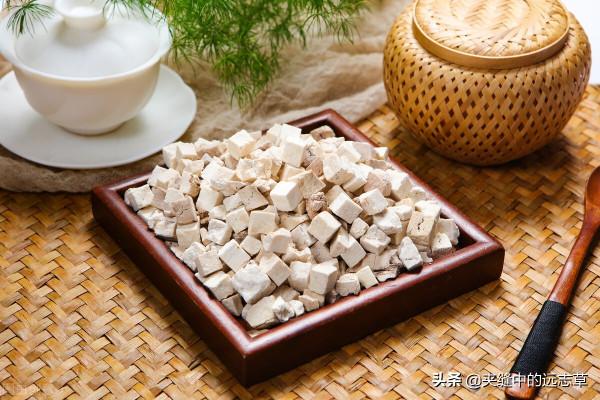 脂肪肝？送你七味中藥，清熱利溼，健脾祛痰