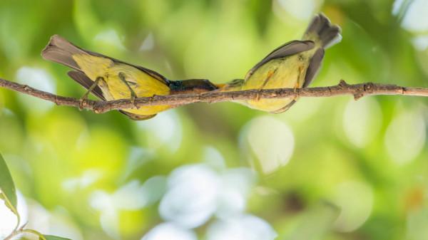 全世界60個國家的珍稀國寶