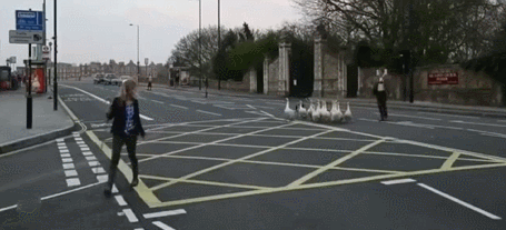 如 何 讓 一 只 邊 牧 失 去 尊 嚴 如 何 讓 一 只 邊 牧 失 去 尊 嚴