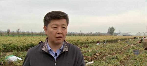 山東男子創辦生薑加工廠，種植生薑帶頭致富，國內銷售收入上億元