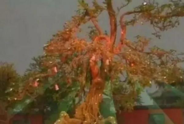 為什麼《西遊記》中的妖怪都非要吃唐僧長生不老？